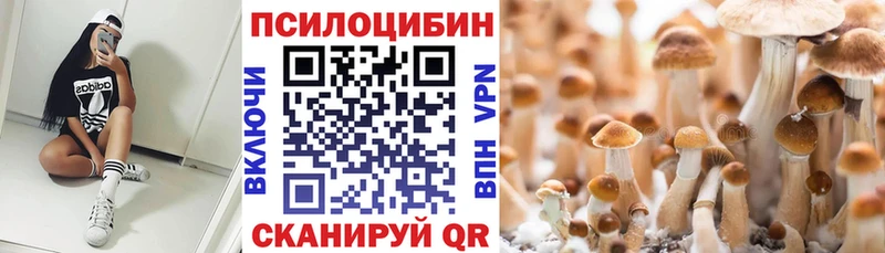 MEGA зеркало  Жирновск  Псилоцибиновые грибы GOLDEN TEACHER  где продают наркотики 